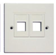 Volition UK LJ6C faceplate 2 ports 